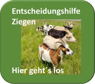 Hier klicken, um Entscheidungshilfe Ziegen zu starten.